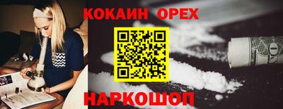 СК Гатчина