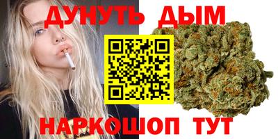 СК Гатчина