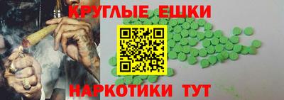 СК Гатчина