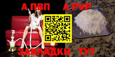 СК Гатчина