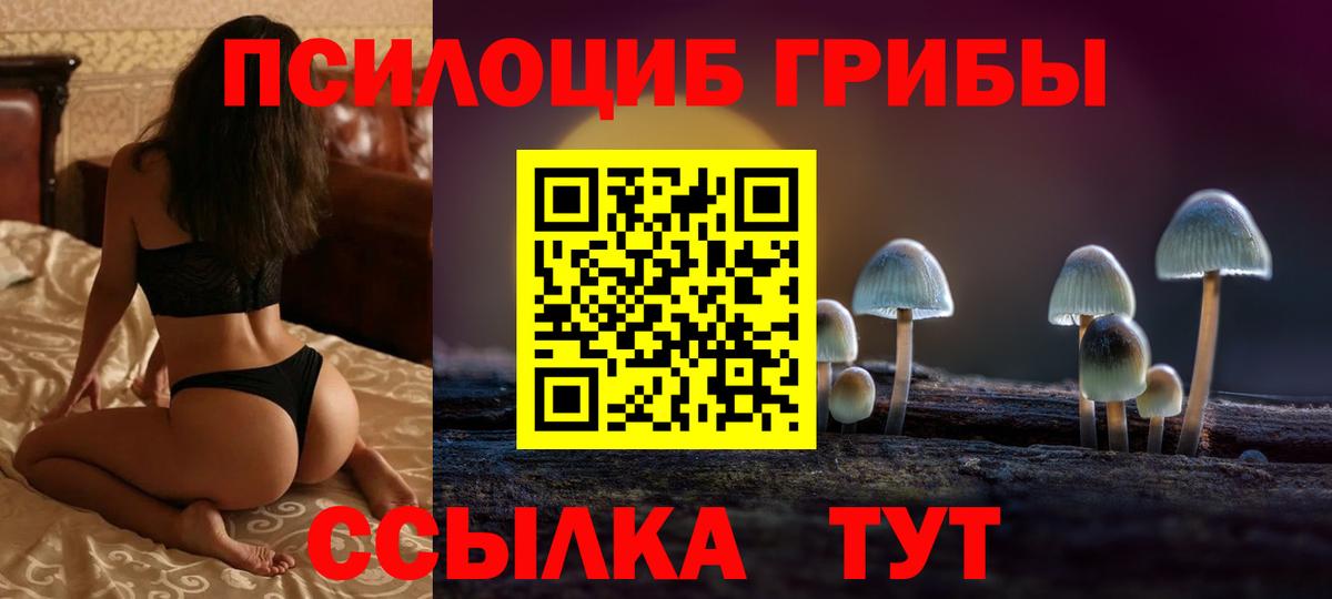 Псилоцибиновые грибы Psilocybine cubensis  цена   Мичуринск  Вход с VPN 