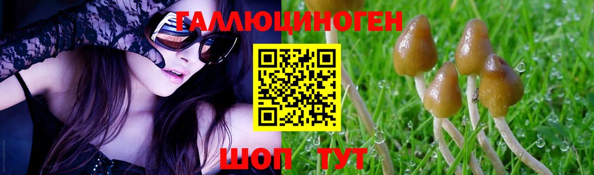 Галлюциногенные грибы мицелий Мичуринск